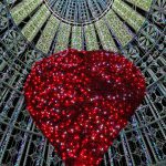 whatsapp-image-2020-12-16-at-12-28-08