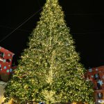 whatsapp-image-2020-12-16-at-12-28-08-2